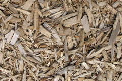 biomass boilers Edzell Woods